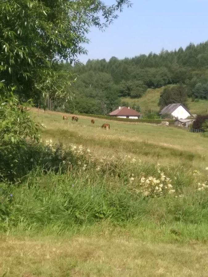 Altana Caloroczna Vira Numer 7 Herbergerowka Agroturystyka Na Wsi Duszniki Zdrój Εξωτερικό φωτογραφία