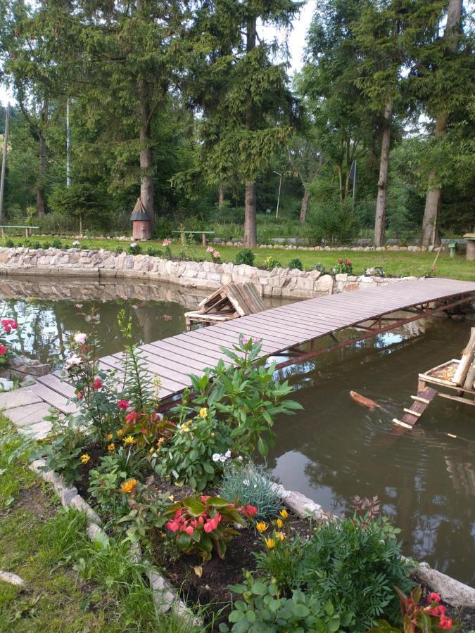 Altana Caloroczna Vira Numer 7 Herbergerowka Agroturystyka Na Wsi Duszniki Zdrój Εξωτερικό φωτογραφία